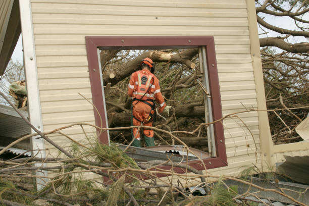 Best Tree Disease Treatment  in Genoa, AR